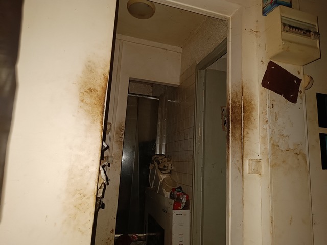 20250123 Photo 1